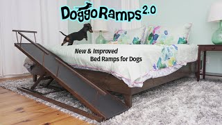 DoggoRamps 2.0  The BEST Bed Ramp for Small Dogs!