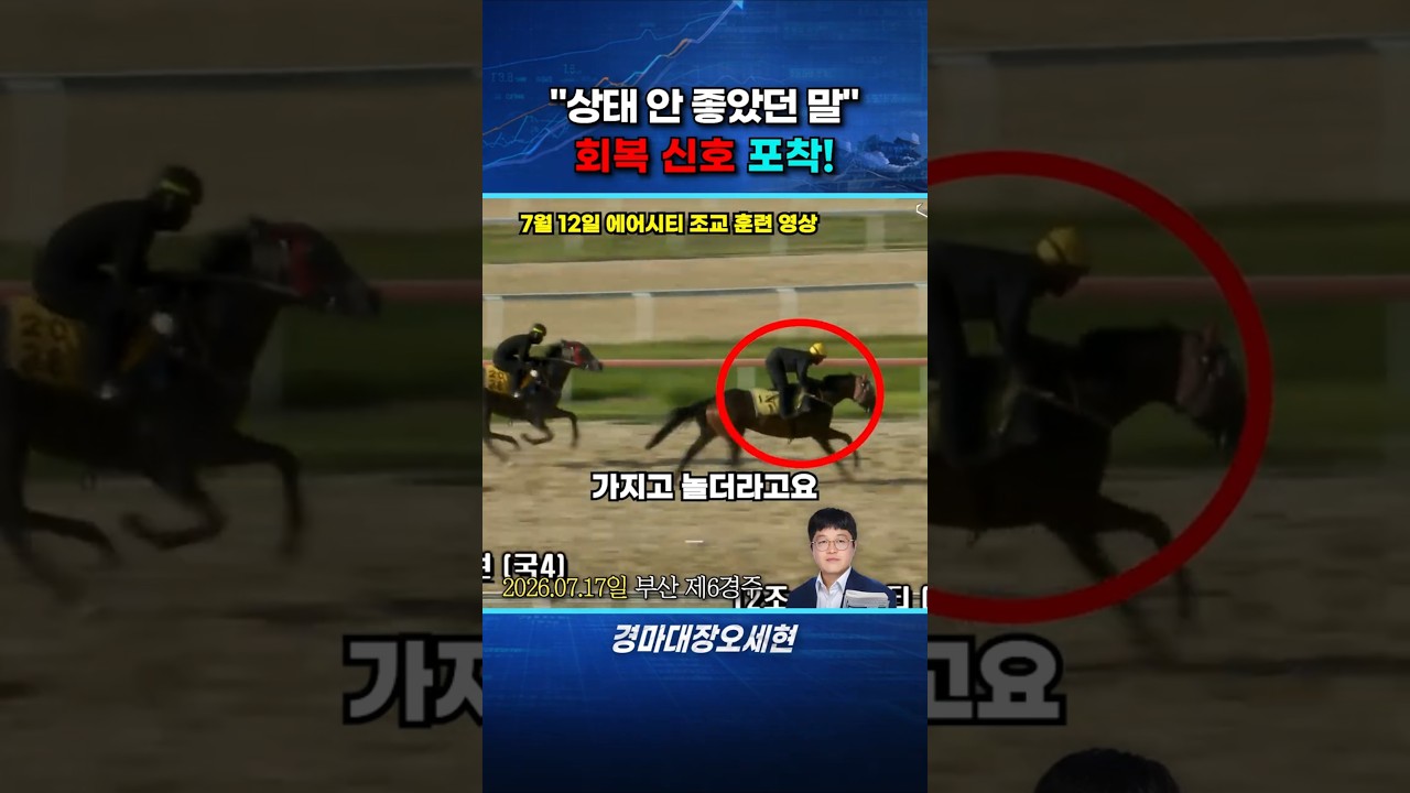 이 배당,놓치셨나요?