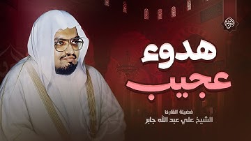 هدوء عجيب | أترك همومك واستمع | سورة القصص | الشيخ علي جابر رحمه الله