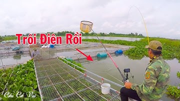Câu Đài Nghiệp Dư ➣ Điểm Câu Cá Tự Nhiên Đẹp, Nhiều Cá To Nhất Tứ Kỳ