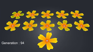 C# Genetic Algorithm Test 2 - Flowers