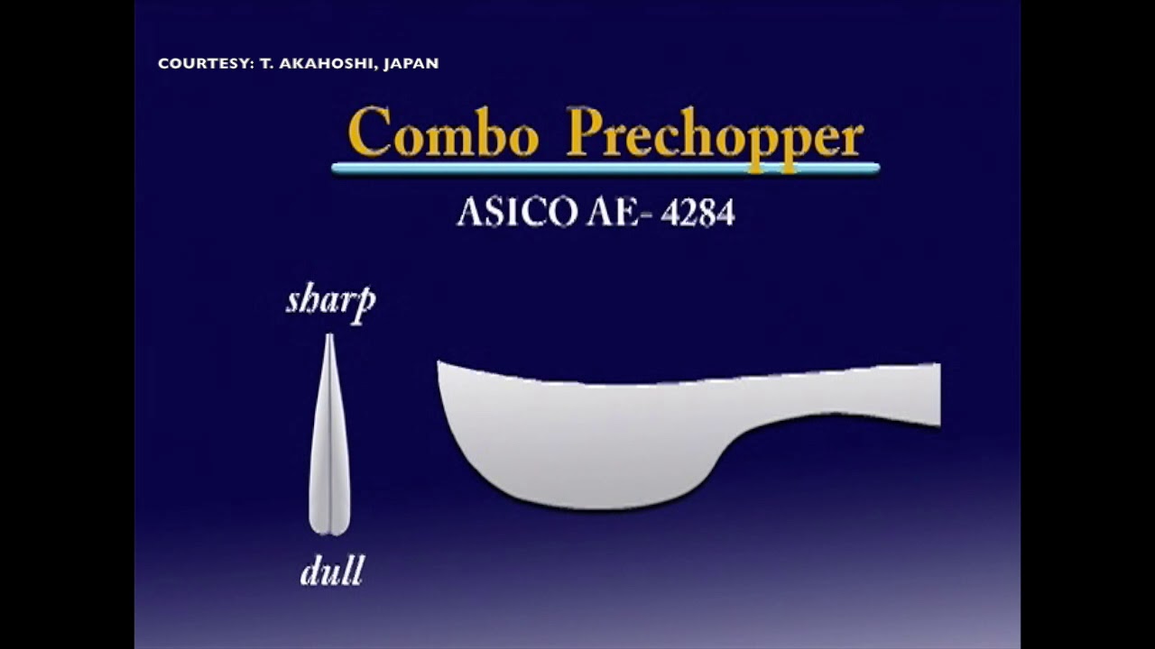 Karate Prechop technique Combo II Prechopper from ASICO (AE-4190)