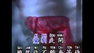 Ceng Qing Yu 曾庆瑜 - 愛上你是我一生的錯 Ai Shang Ni Shi Wo Yi Sheng De Cuo (優必勝 U-Best Production)