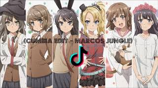 Video thumbnail of "Seishun Buta Yarou wa Bunny Girl Senpai no Yume wo Minai ED (Cumbia EDIT - Marcos Jungle)"