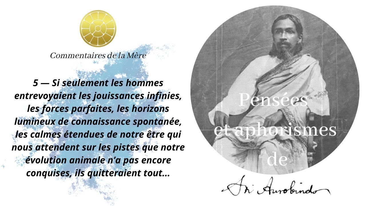 Tre un guerrier formidable   Penses et aphorismes de Sri Aurobindo