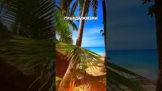 Правда жизни #мышление #мотивацияивдохновение #рекомендации #цитатыпрожизнь #мудрость #развитие