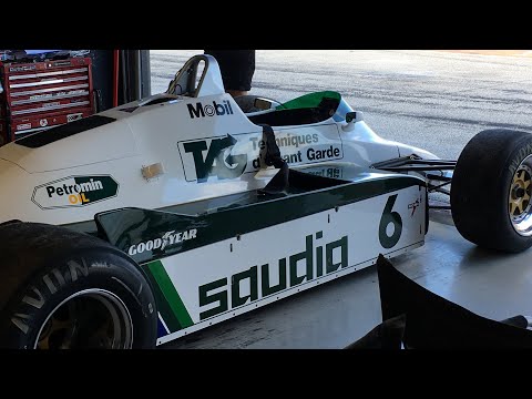 Old F1 cars driving by on the straight! *AMAZING SOUNDS*