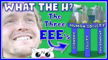 What the H Does Sustainability Mean? (The Three E
