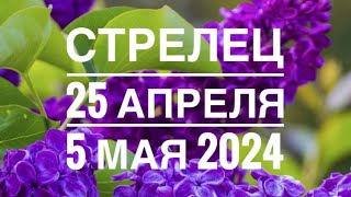 Стрелец ♐️ 25 апреля 5 мая 2024 года 🍀☀️🔮🗝Таро прогноз