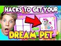 5 HACKS To Get Your DREAM PET For FREE in Roblox Adopt Me!
