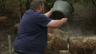 Cisterscapes Project Trailer