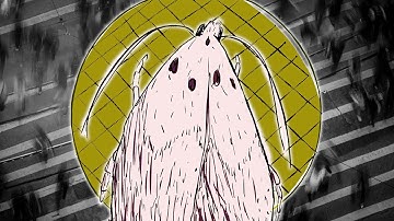 Bees Things: Mothwalk