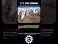 Penitentes😱#shorts #science #technology