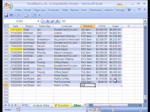 Excel Basics #21: Data Analysis Filter &Dynamic Ranges - YouTube