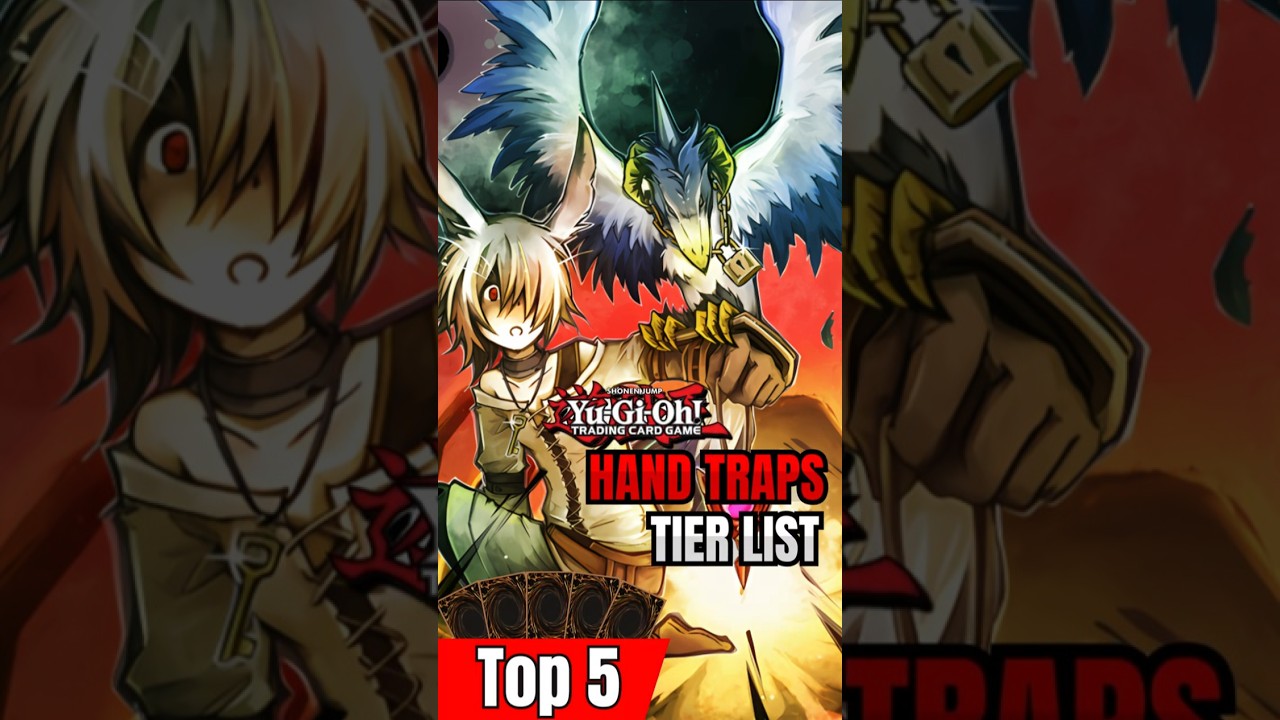 TOP5 Best Hand Traps September 2025 