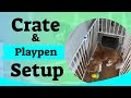 Puppy Crate Setup - Using A Puppy Playpen