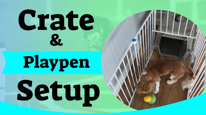 Puppy Crate Setup - Using A Puppy Playpen