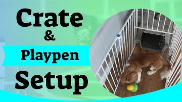 Puppy Crate Setup - Using A Puppy Playpen