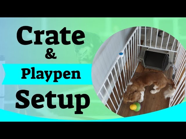 Puppy Crate Setup - Using A Puppy Playpen - Youtube