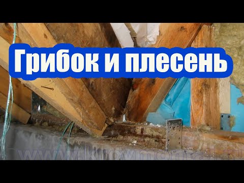 КАК СПАСТИ ДЕРЕВЯННУЮ КРЫШУ ОТ ГРИБКА И ПЛЕСЕНИ. 3 ЭТАПА ГНИЕНИЯ ДРЕВЕСИНЫ
