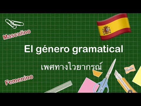 ภาษาสเปนเบื้องต้น: เพศทางไวยากรณ์ในภาษาสเปน ความสัมพันธ์ของคำ I El género gramatical en español