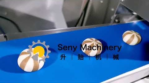 SY-810  Two Color With Filling  Automatic Encrusting Machine