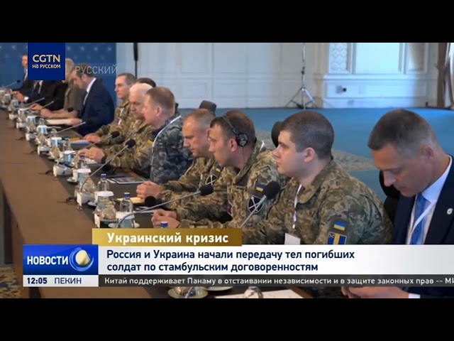 Россия и Украина начали передачу тел погибших солдат по стамбульским договоренностям