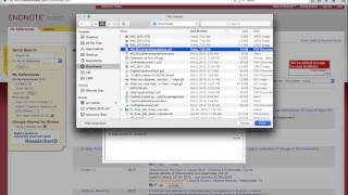 Attaching a pdf to an endnote web citation