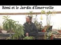 Histoires de plantes au jardin dmerveille 