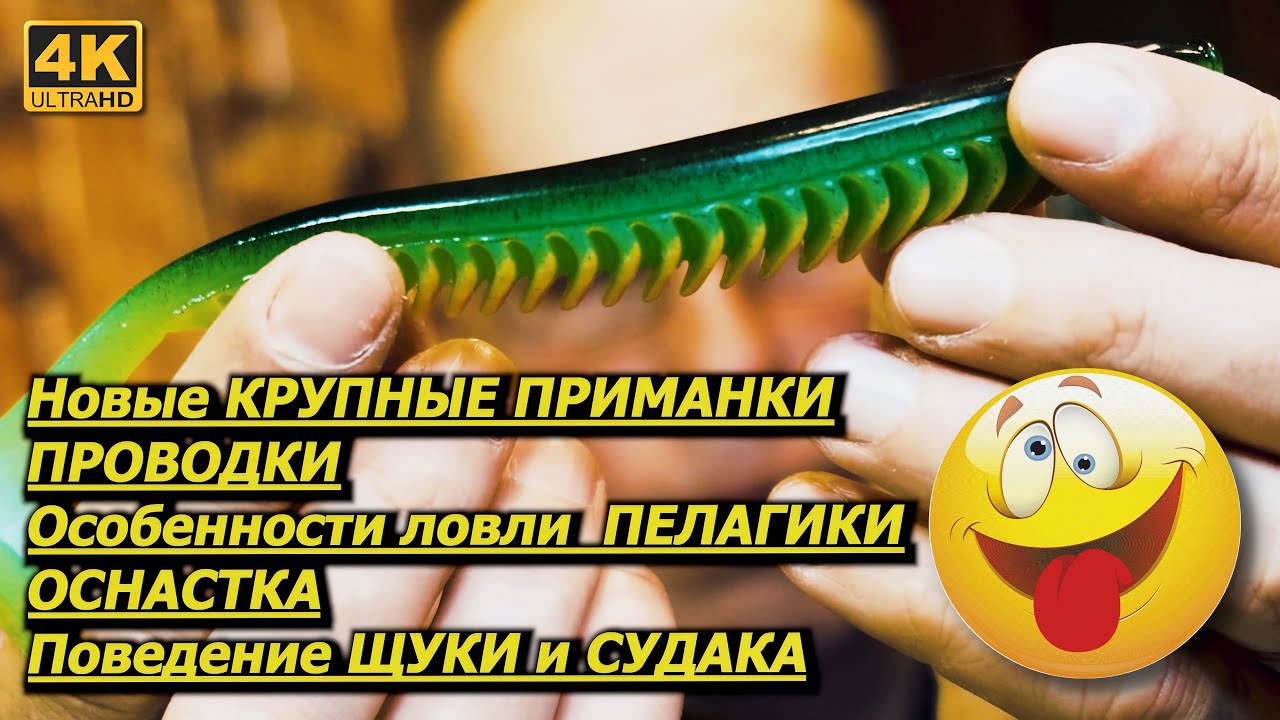Новые КРУПНЫЕ ПРИМАНКИ Особенности ловли ЩУКИ и СУДАКА в ПЕЛАГИКИ - YouTube