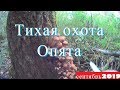 Тихая охота: Опята сентябрь 2019