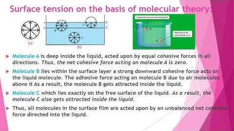 2 Mechanical Properties of Fluids Part II | HSC XII | Physics | Maharashtra Board | New Syllabus