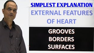 HEART : External features