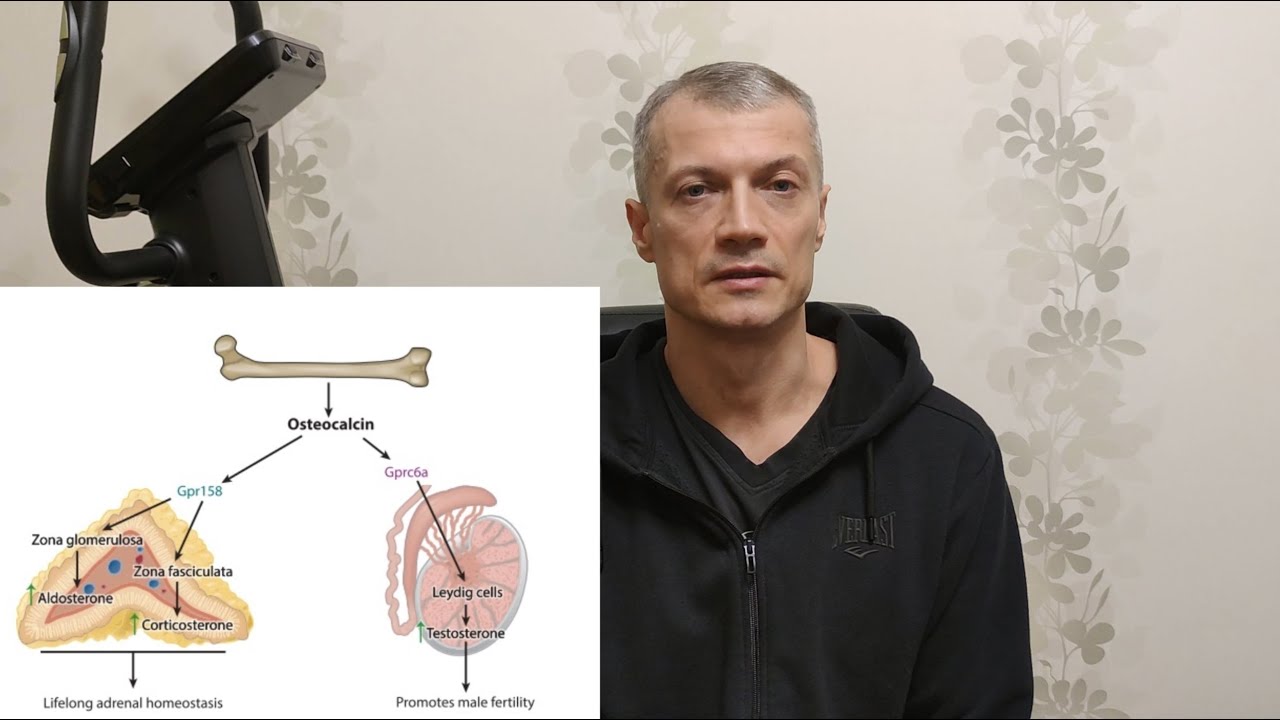 Остеопороз в молодом возрасте его лечение и профилактика. Osteoporosis ...