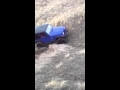 Jeep Wheeling