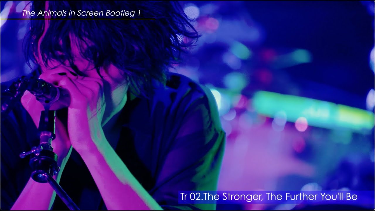 Trailer The Animals In Screen Bootleg 1 ティザー映像 Fear And Loathing In Las Vegas Youtube