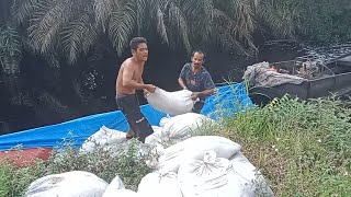 napas nande bakti sampai gos gosan yang di tunggu tunggu ahirnya datang juga