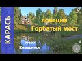 Русская рыбалка 4 - озеро Комариное - Карась трофейный у моста