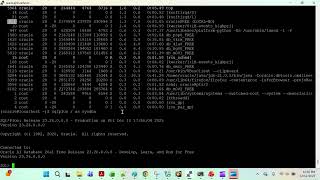 Celebrity SQL Query to generate kill session command for any OS process ID in Oracle Net Worth