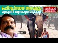       harippad vijayan  elephant frames  part 5