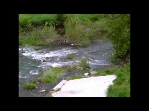 Река ояш Река ояш