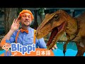 きょうりゅうにあいにいこう | Blippi 日本語 - 幼児向け教育動画