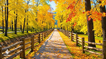 Beautiful Relaxing Music 🍁 Autumn Melodies for Stress Relief & Healing