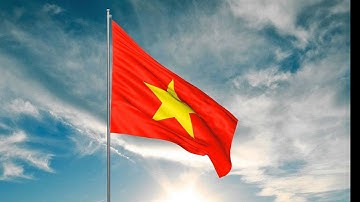 Tiếng Đàn Bầu  -  Solo : Ns Quang Hưng