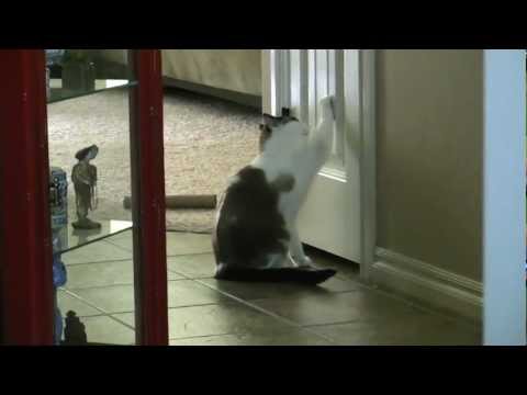 Egon Wants in the Closet