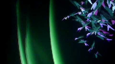 wrongelectron visuals at Glitch Mob Show in Calgary 2009 p15