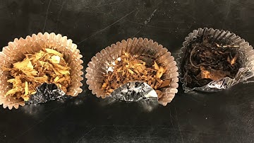 Envision Student -MDLS video