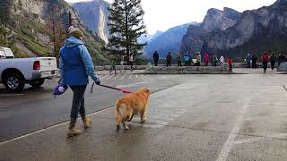 Breathtaking Yosemite Valley | Oshies World by Oshies World 7,368 views 3 years ago 2 minutes, 12 seconds