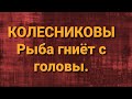 Семья Колесниковых/Новости из Дворца.