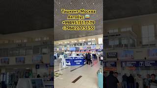 ✅Ташкент Москва Автобус #ташкент #москва #автобус #tashkent #moskva #avtobus #rekomendasi #reels